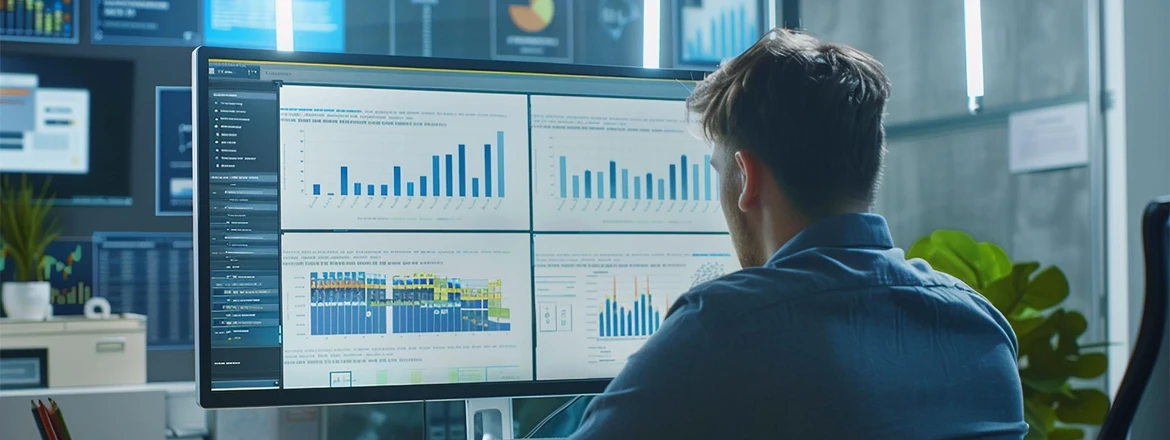 Man analyzing an IT system